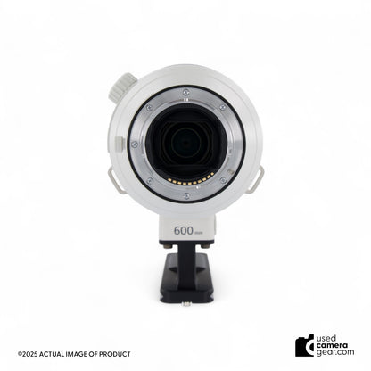 Sony FE 600mm f4.0 GM OSS (#450) *USED*